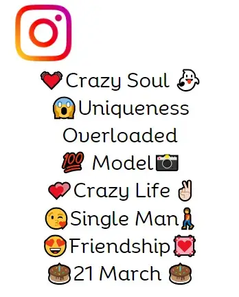 28 Creative Instagram Bio Ideas for 2024